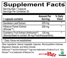 Load image into Gallery viewer, UT Protect