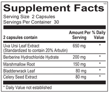 Load image into Gallery viewer, UT Relief