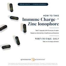 Load image into Gallery viewer, Immune Charge+® Zinc Ionophore
