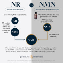 Load image into Gallery viewer, NAD+ Platinum®
