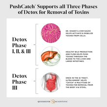 Load image into Gallery viewer, PushCatch® Liver Detox
